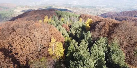 Пейзаж от Лисец