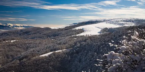Пейзаж от Малешевска планина
